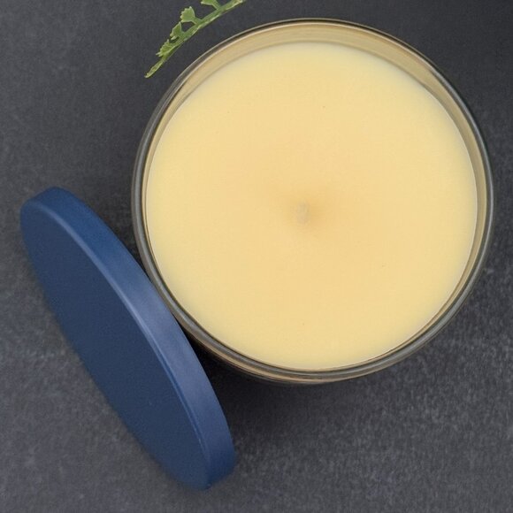 BBW Fresh Amalfi Lemon Bath & Body Works Single Wick Candle - Picture 6 of 10